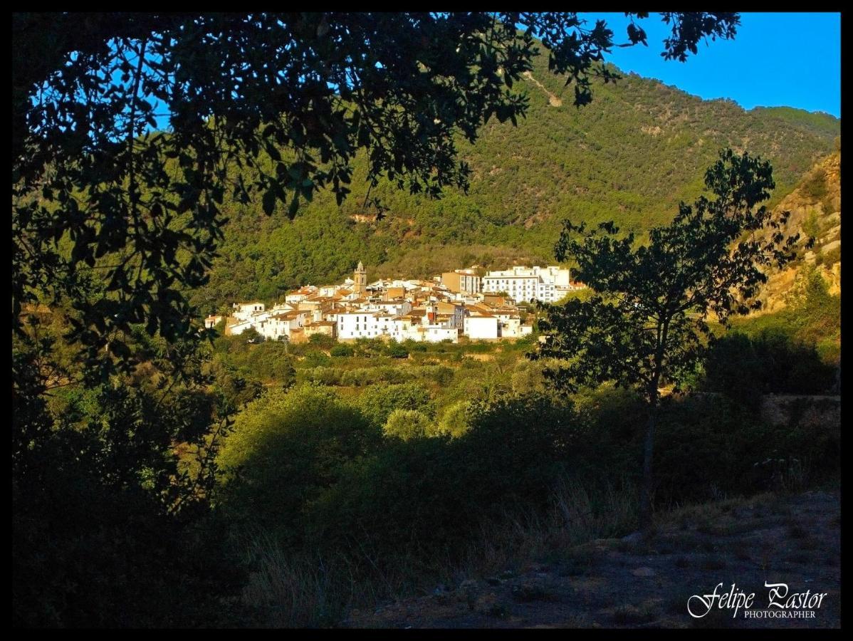 Masia De San Juan Casas Numero 3 Y 5, Con Piscina, Aire Acondicionado Y Vistas A La Montana เซกอร์เบ ภายนอก รูปภาพ